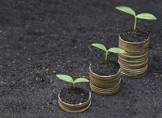 Business Development